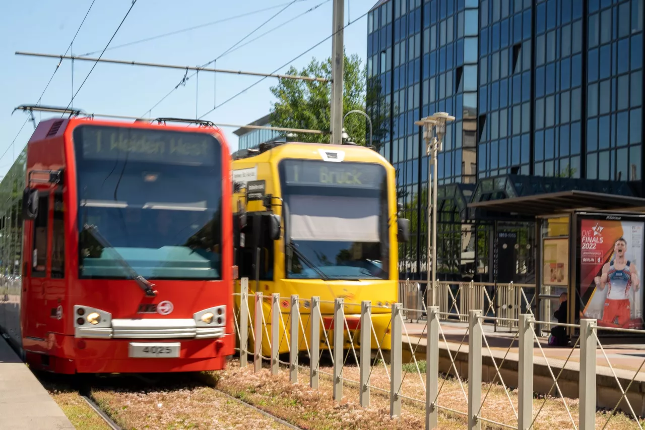 Zwei Bahnen der Linie 1 an der Haltestelle Mohnweg Blick auf zwei nebeneinanderstehende Bahnen der Linie 1 an der Haltestelle Mohnweg. Sie fahren in die entgegengesetzten Richtungen Weiden West und Brück. Zwischen den Bahnen verläuft ein Zaun, der die Gleise voneinander trennt.